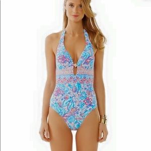Seafayer Swimsuit in Pinchers Picnic Large